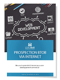 Prospection digitale BtoB