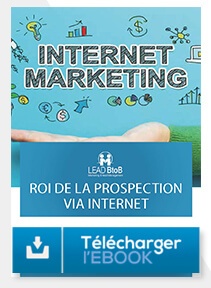 Télécharger e-book la prospection sur internet combien ça rapporte