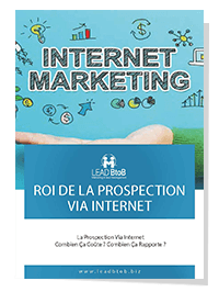 EBook 4 - La prospection internet combien ca rapporte