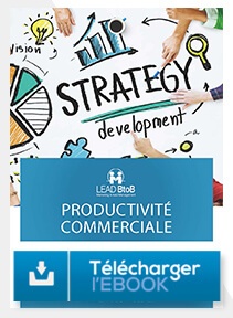 Télécharger e-book productivité commerciale