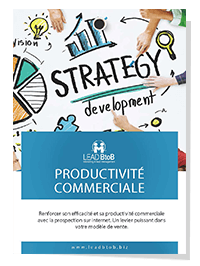 Productivité commerciale