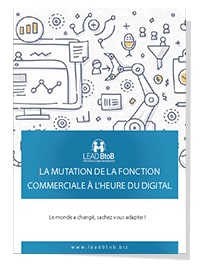 La mutation de la fonction commerciale